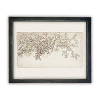 Framed Citrus Tree Sketch #BOT-111