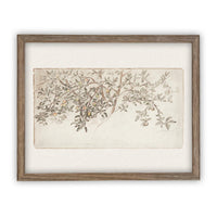 READY to SHIP 24X36 Framed Vintage Citrus Tree Print: Botanical Sketch Canvas Art