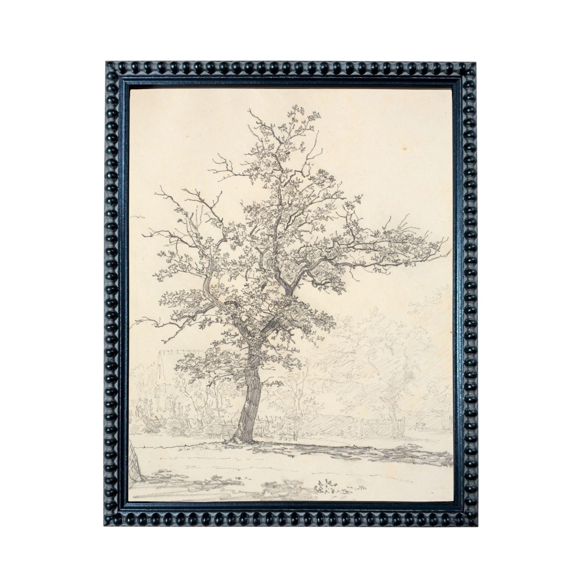 A black and white sketch of a tree with intricate branches and foliage, framed in a decorative black frame.