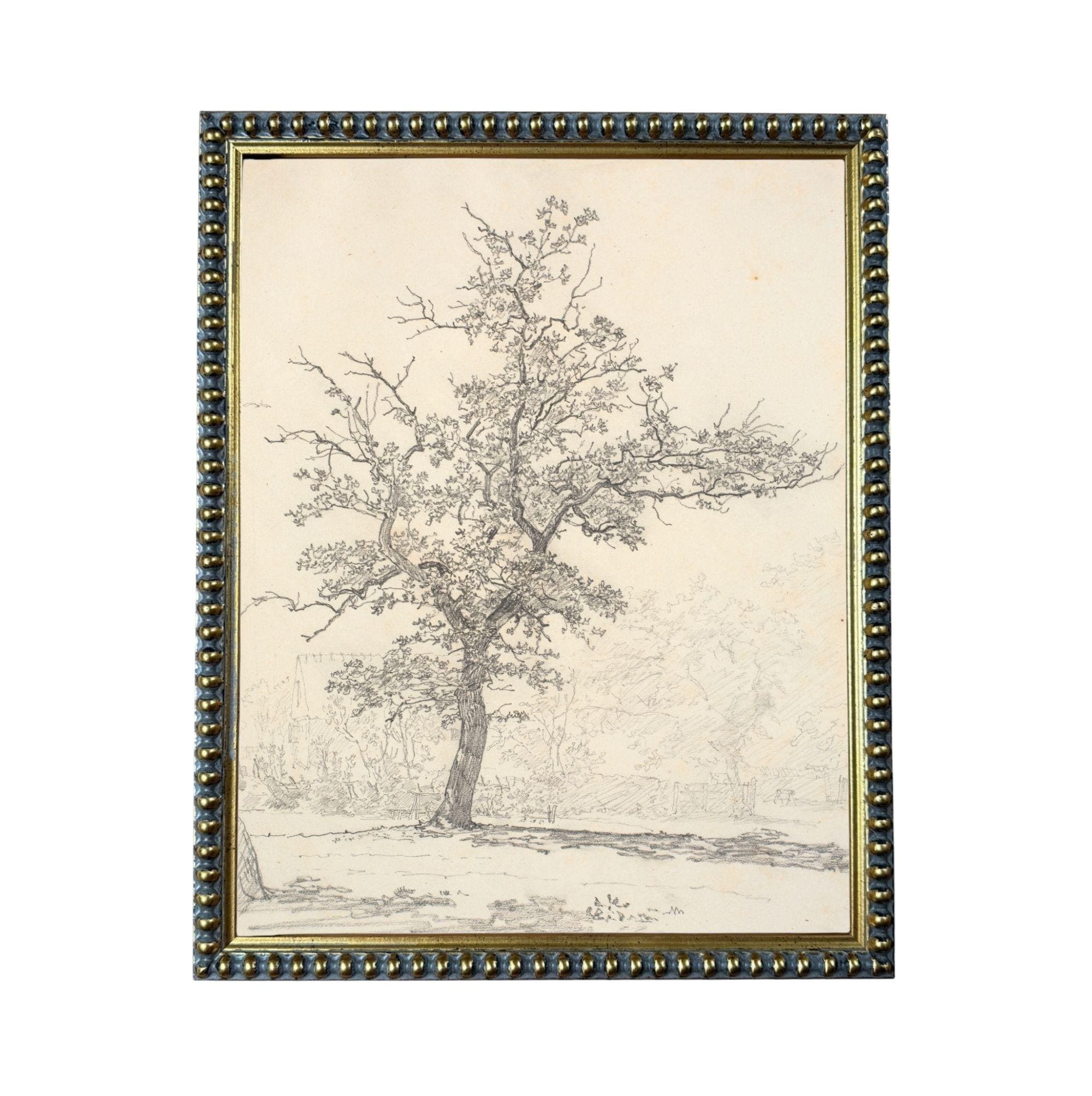A black and white sketch of a tree with a detailed and intricate depiction of its branches and foliage.
