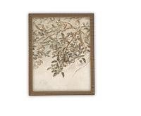Vintage Framed Canvas Art #BOT-146