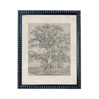 The image is a black and white illustration of a large tree with a thick trunk and numerous branches, set against a landscape background.