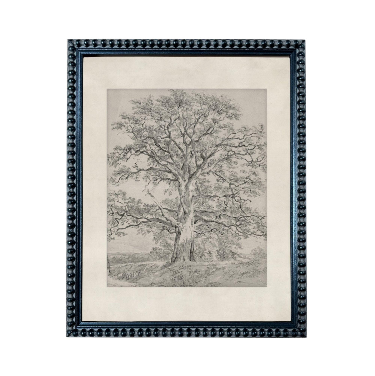 The image is a black and white illustration of a large tree with a thick trunk and numerous branches, set against a landscape background.
