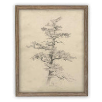 READY to SHIP 16X20 Framed Vintage Botanical Canvas Print: Neutral Minimalist Tree Sketch