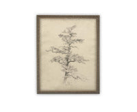 READY to SHIP 16X20 Framed Vintage Botanical Canvas Print: Neutral Minimalist Tree Sketch