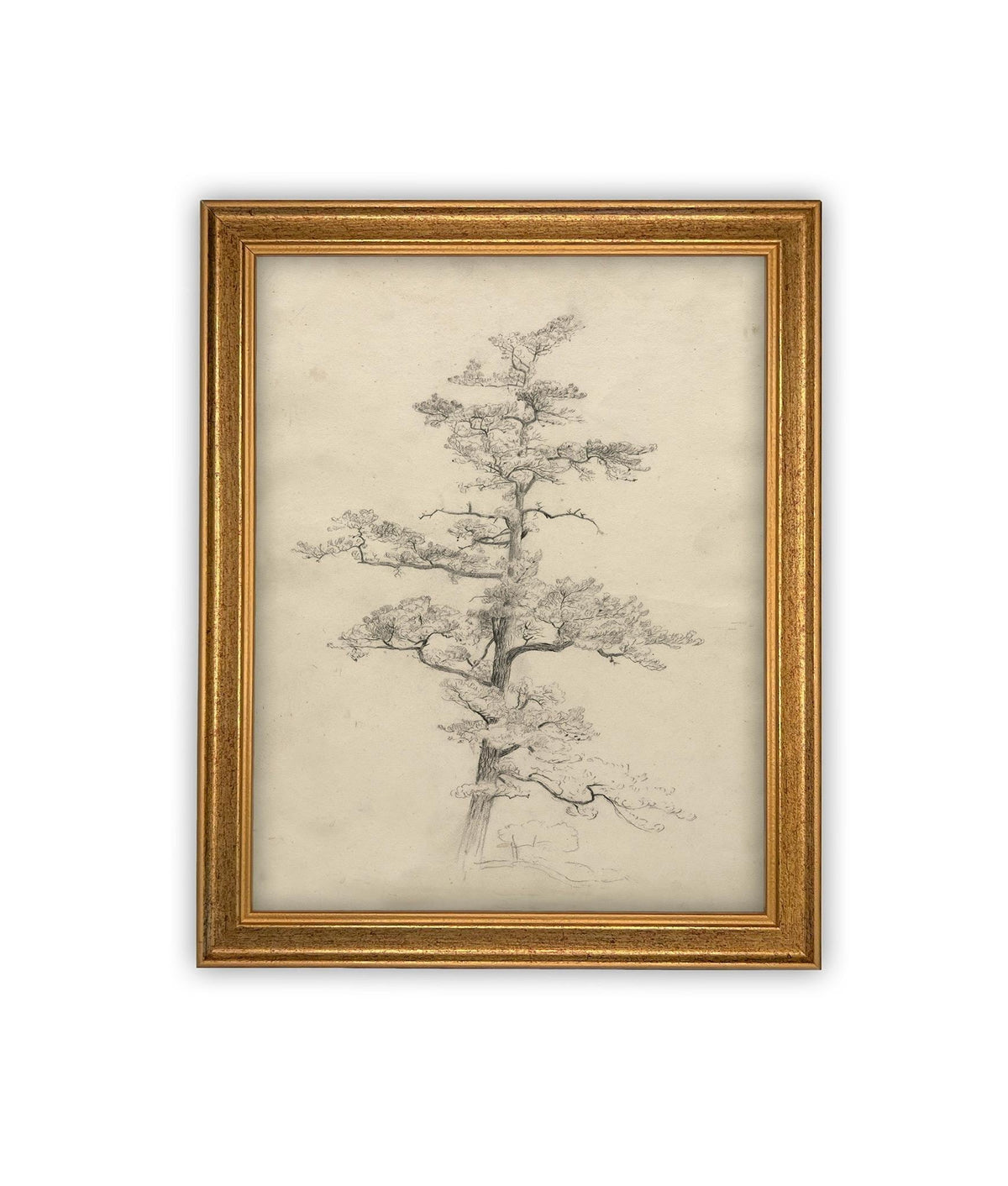 READY to SHIP 16X20 Framed Vintage Botanical Canvas Print: Neutral Minimalist Tree Sketch