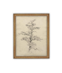 READY to SHIP 16X20 Framed Vintage Botanical Canvas Print: Neutral Minimalist Tree Sketch