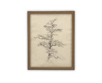 READY to SHIP 16X20 Framed Vintage Botanical Canvas Print: Neutral Minimalist Tree Sketch