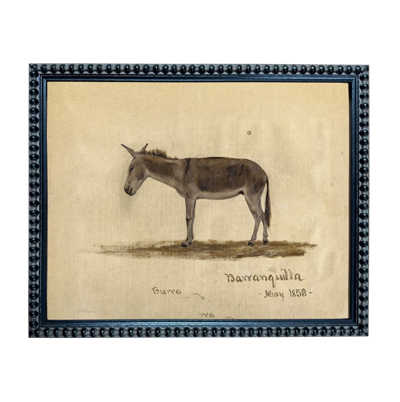 Framed Vintage Donkey Canvas Print: Farmhouse Art #A-207