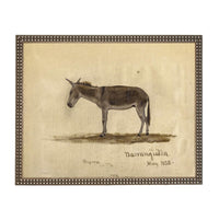 Framed Vintage Donkey Canvas Print: Farmhouse Art #A-207