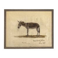 Framed Vintage Donkey Canvas Print: Farmhouse Art #A-207