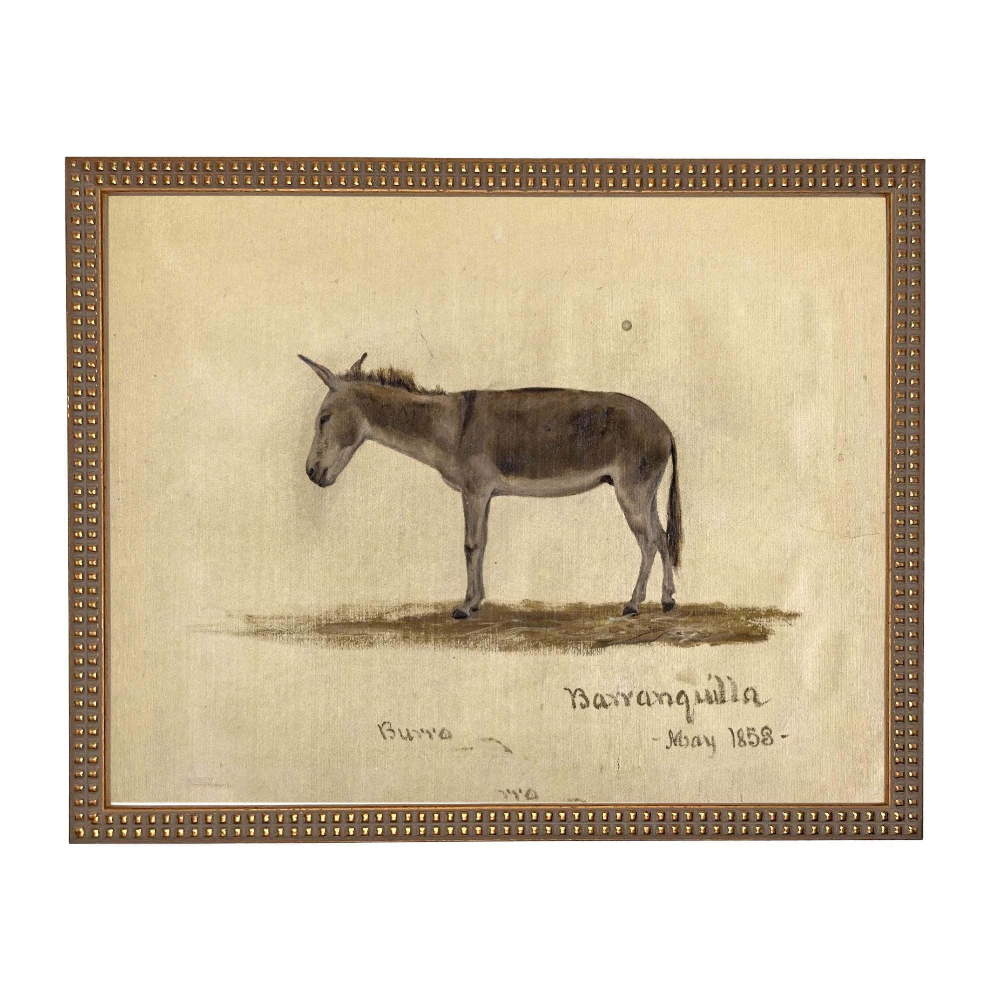 Framed Vintage Donkey Canvas Print: Farmhouse Art #A-207