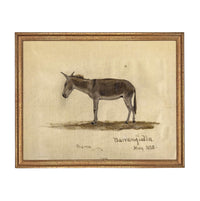 Framed Vintage Donkey Canvas Print: Farmhouse Art #A-207