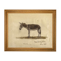 Framed Vintage Donkey Canvas Print: Farmhouse Art #A-207