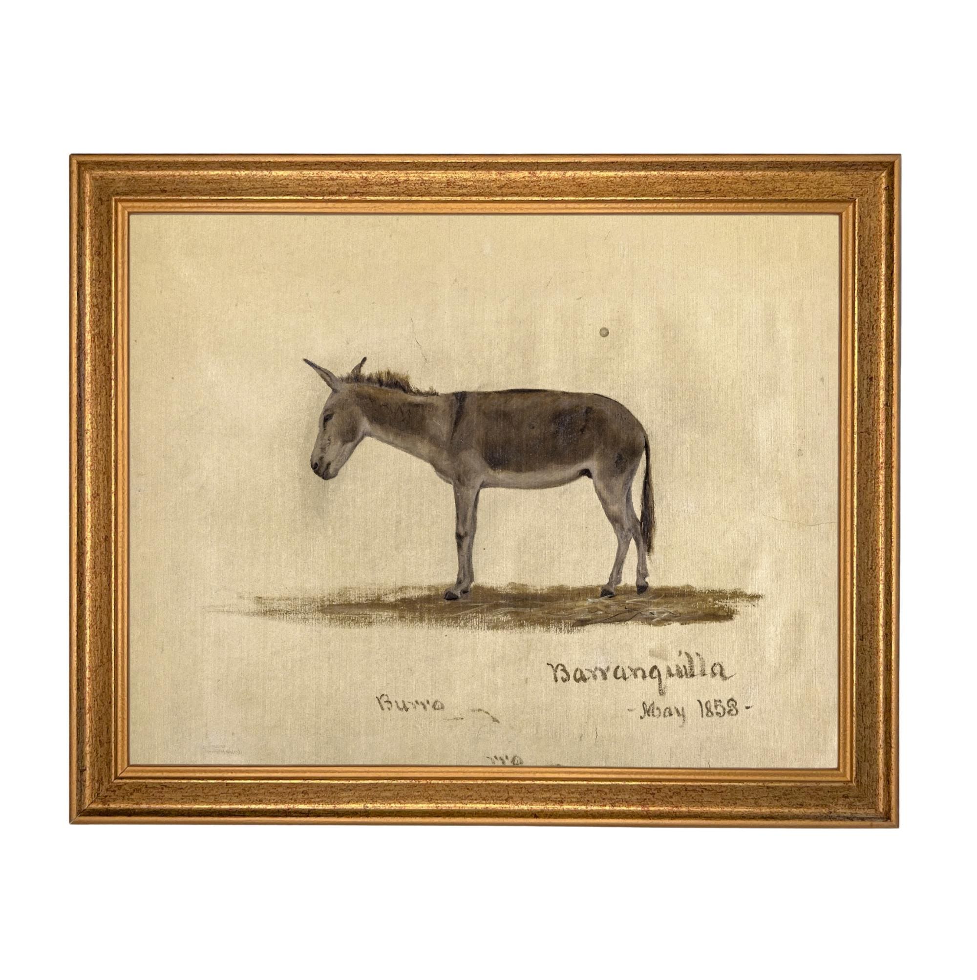 Framed Vintage Donkey Canvas Print: Farmhouse Art #A-207