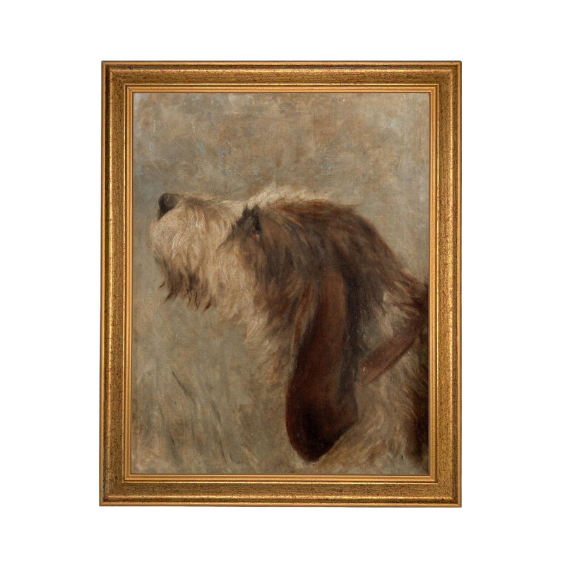 Framed Vintage Dog Canvas Print: Otterhound Dog Painting #A-208