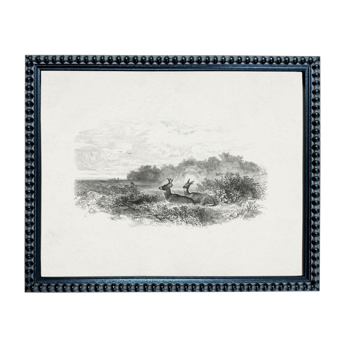 A black and white illustration of a deer standing in a field with trees in the background.