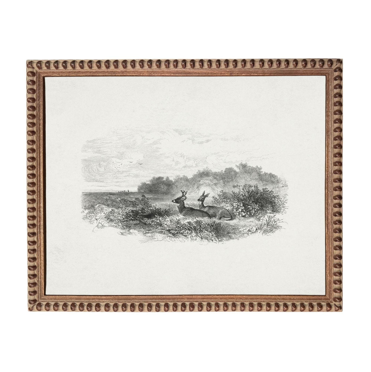 The image is a framed print depicting a deer in a natural setting, with a cloudy sky in the background.