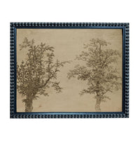 two trees, one on the left and one on the right, both depicted in a detailed, botanical style.