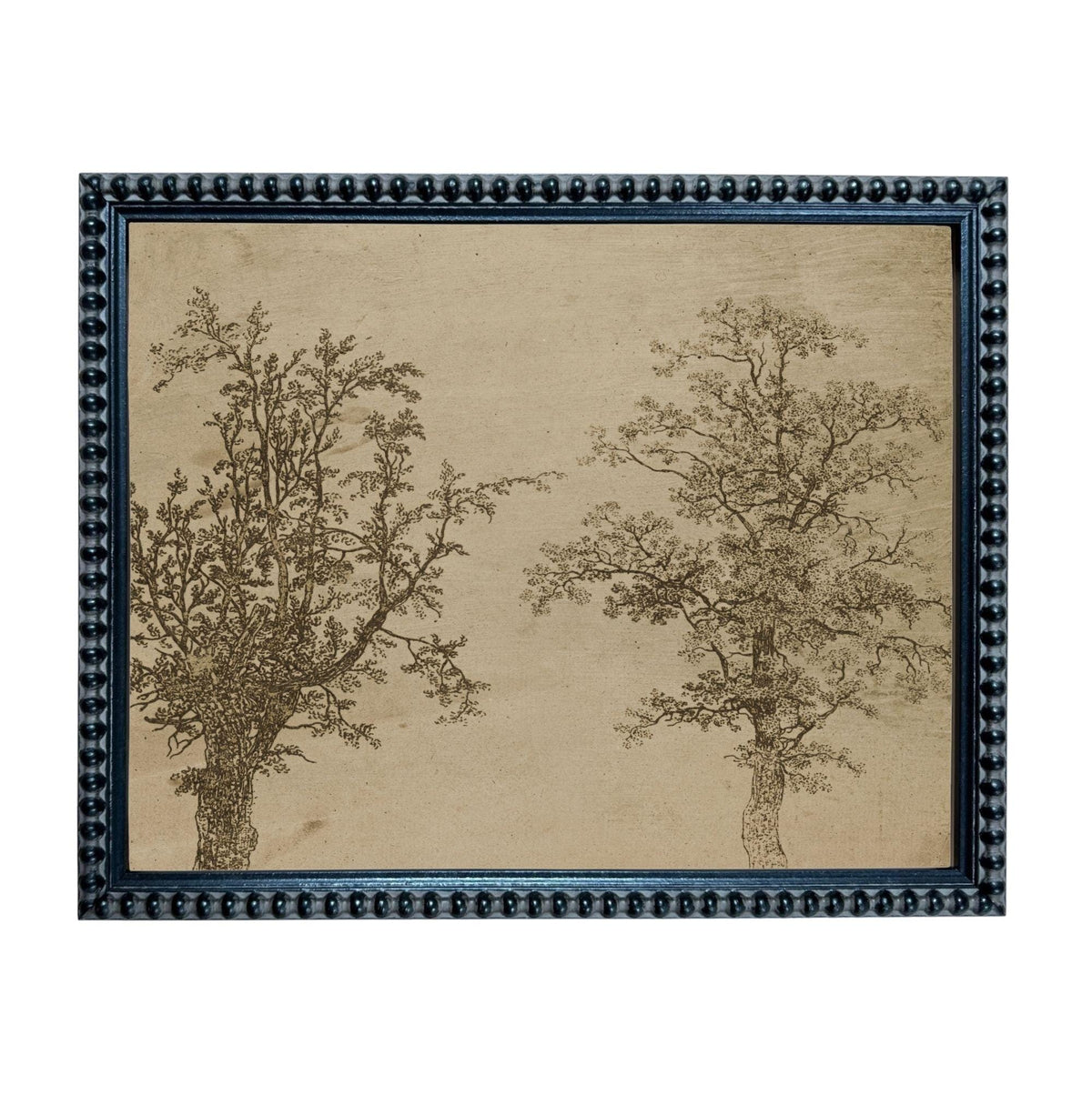two trees, one on the left and one on the right, both depicted in a detailed, botanical style.