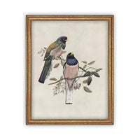 Framed Canvas Art #A-103