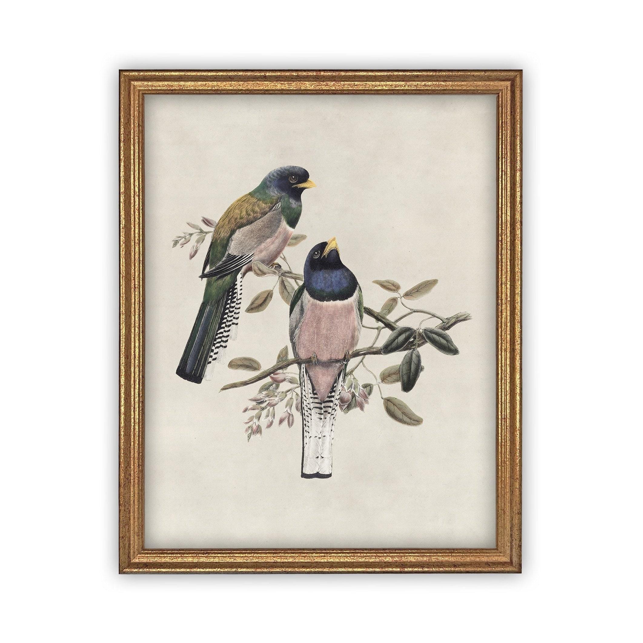Framed Canvas Art #A-103