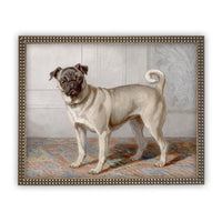 Framed Canvas Art #A-114