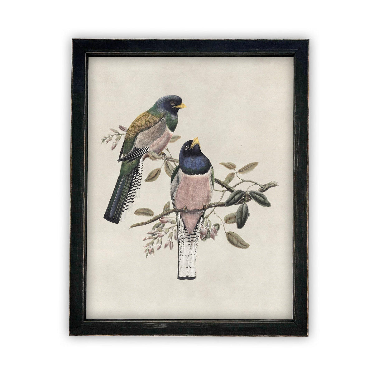Framed Canvas Art #A-103