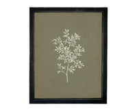 Vintage Framed Botanical Sketch #BOT-169
