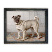 Framed Canvas Art #A-114