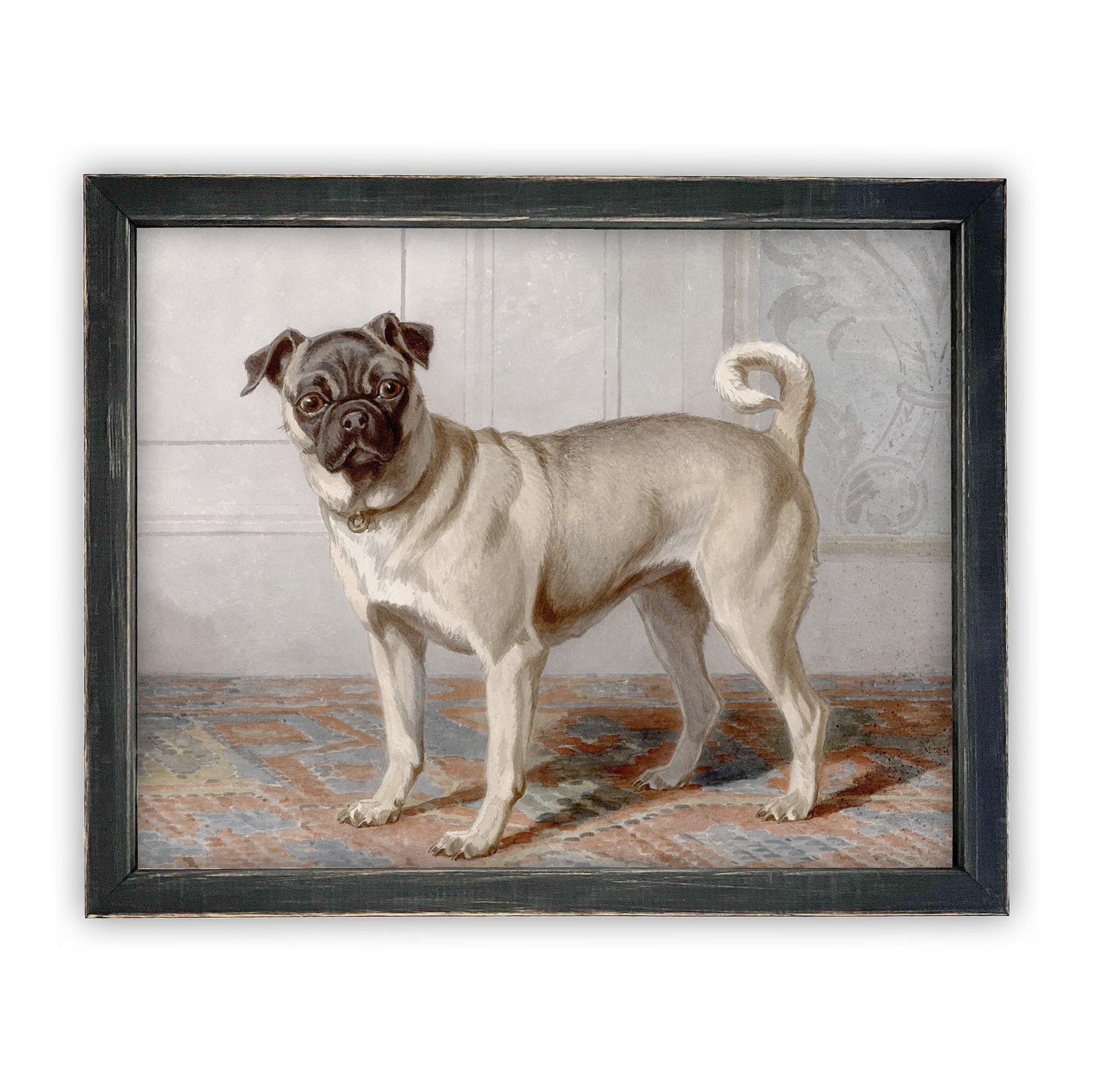 Framed Canvas Art #A-114