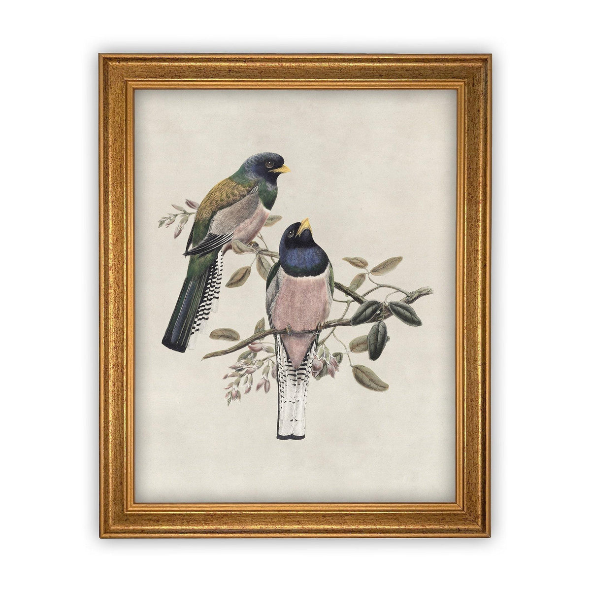 Framed Canvas Art #A-103