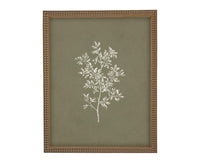 Vintage Framed Botanical Sketch #BOT-169