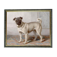 A pug dog standing on a rug in a room, with a decorative border around the frame.