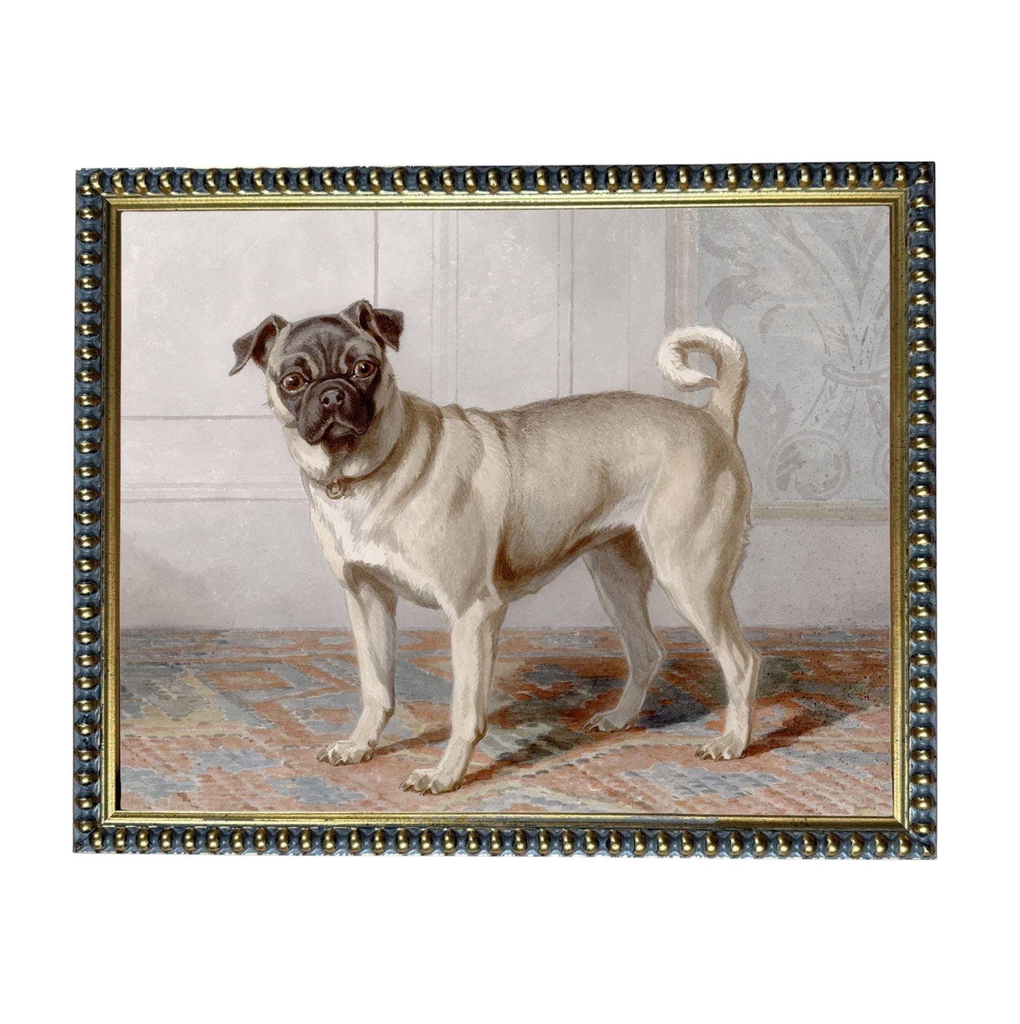 A pug dog standing on a rug in a room, with a decorative border around the frame.