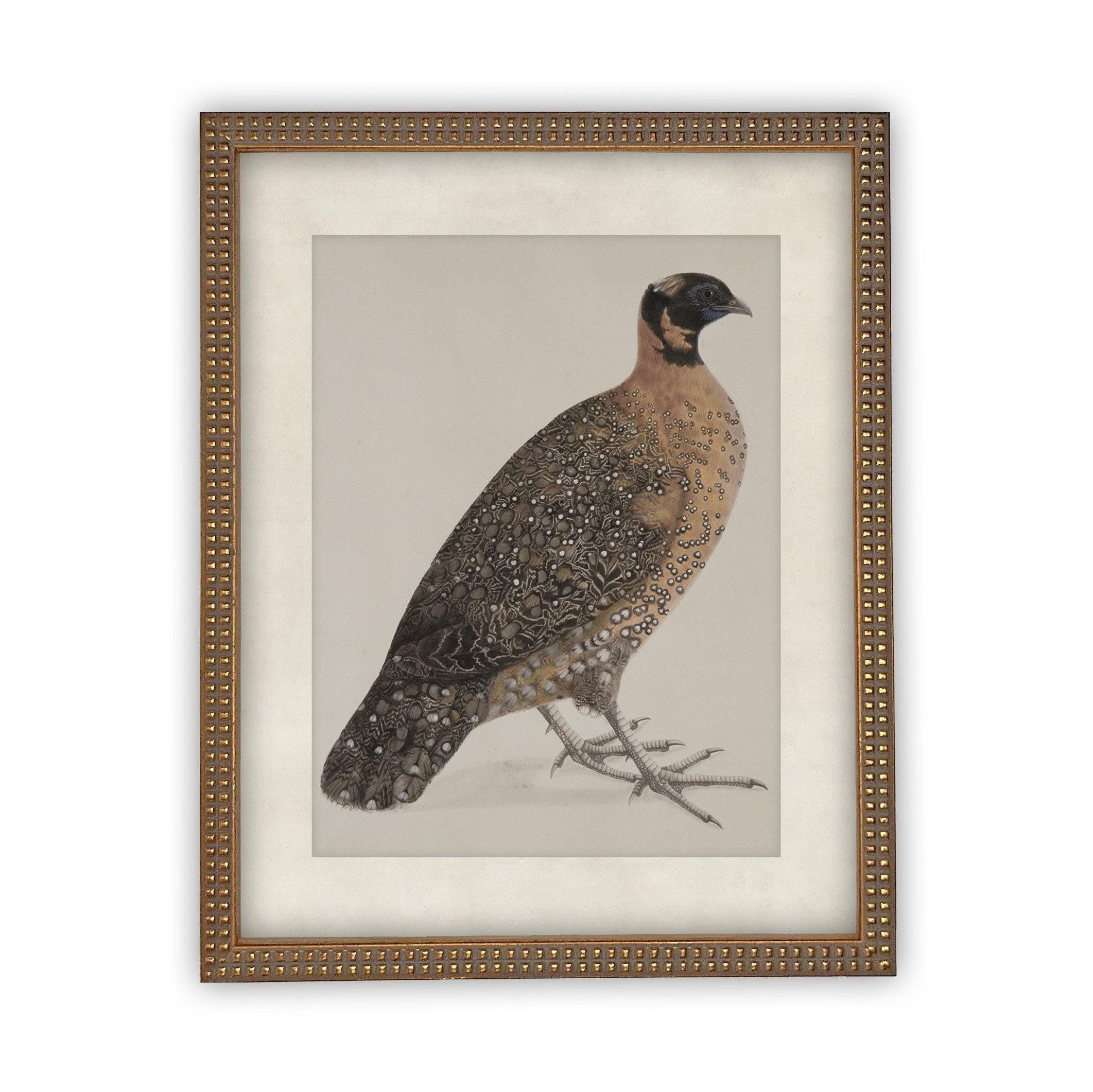 Vintage Framed Canvas Art #A-104