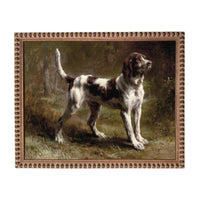 A brown and white dog standing in a grassy field, with trees and foliage in the background.
