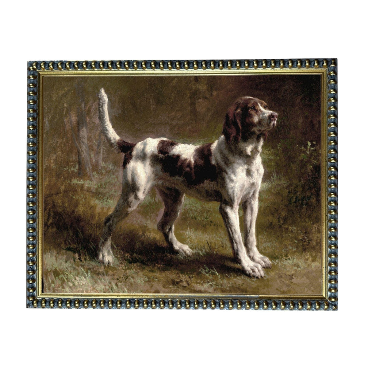 A brown and white dog standing in a grassy field, with a forested background.