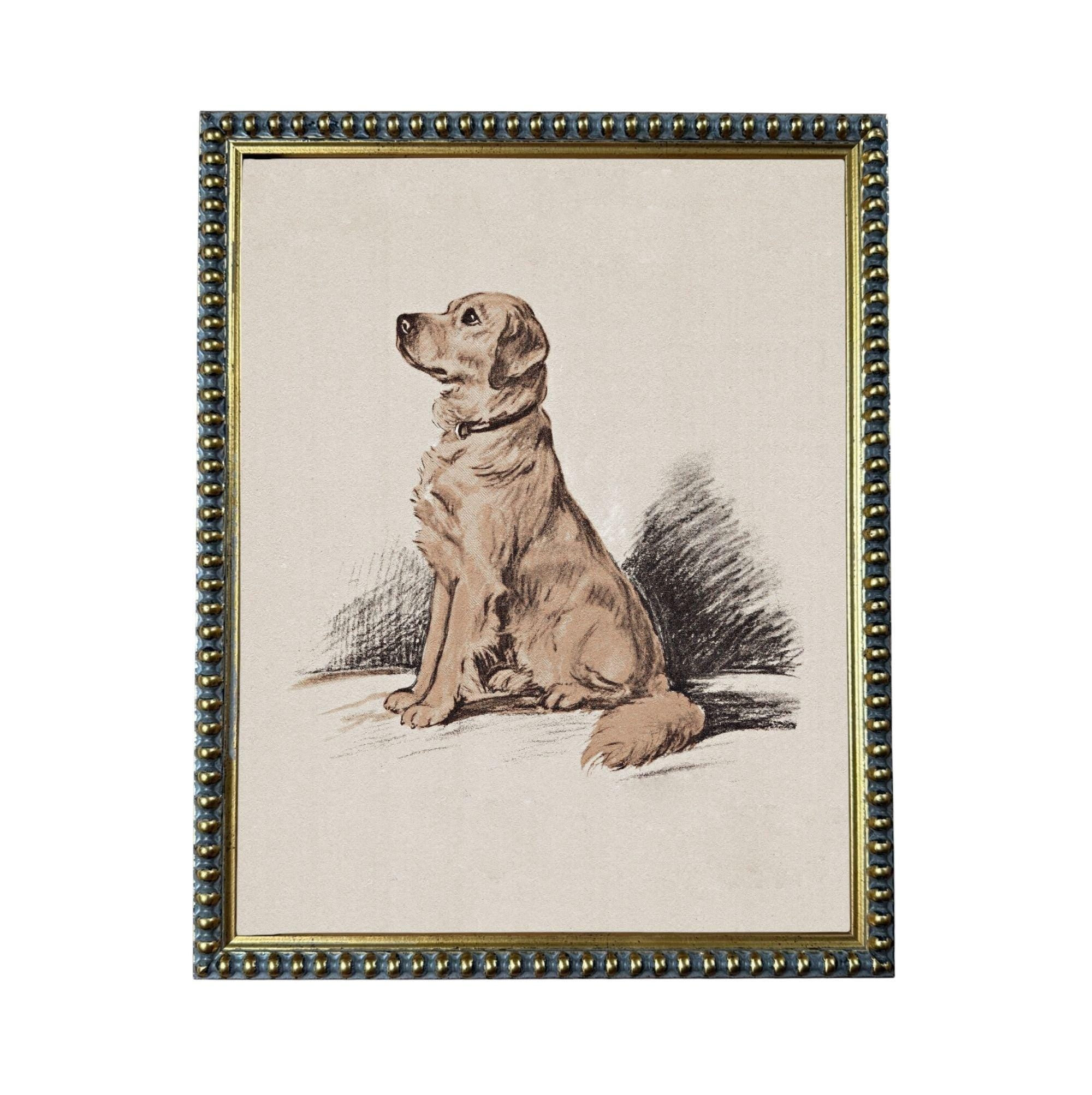 A framed drawing of a dog sitting on a surface.