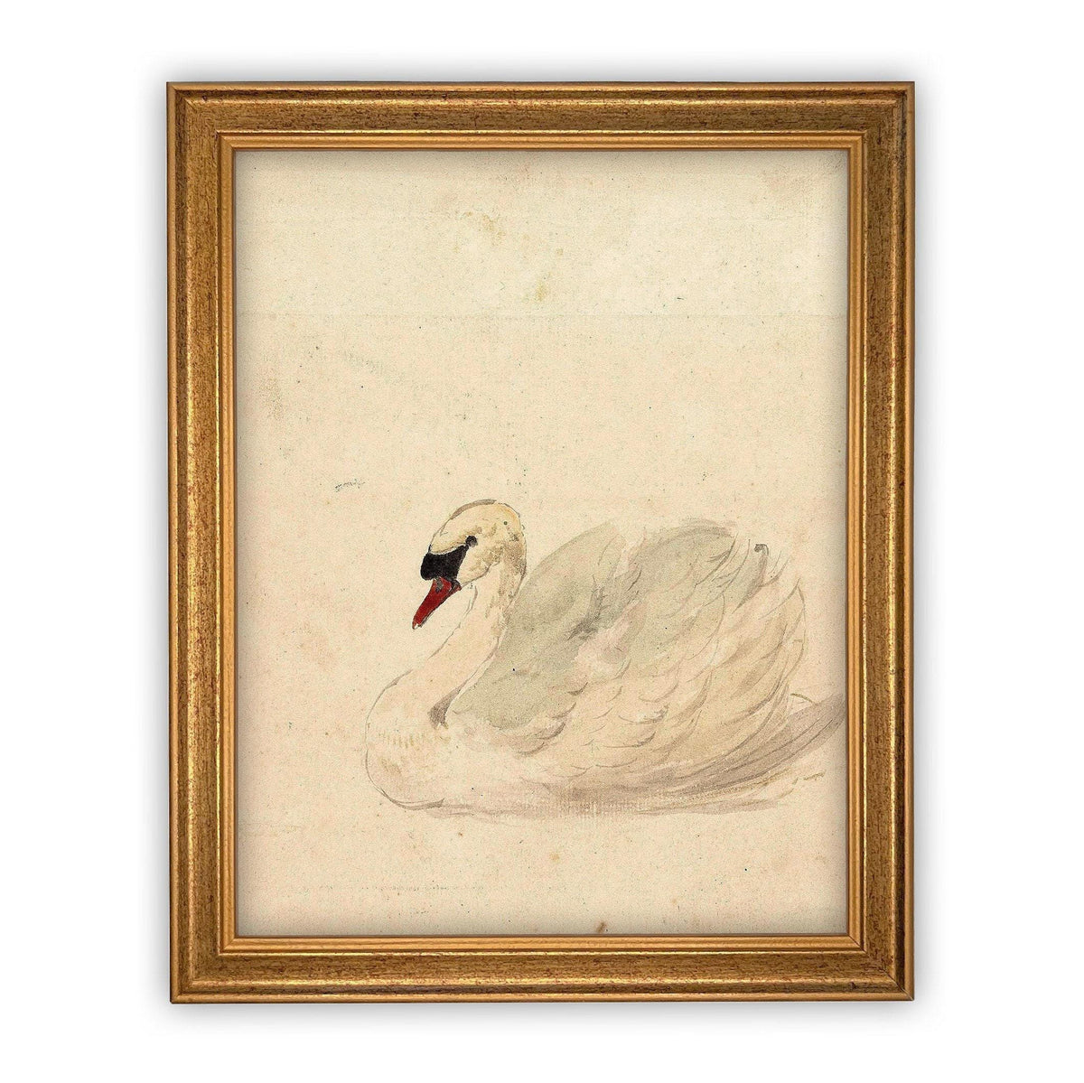 Vintage Framed Canvas White Swan Art #A-101