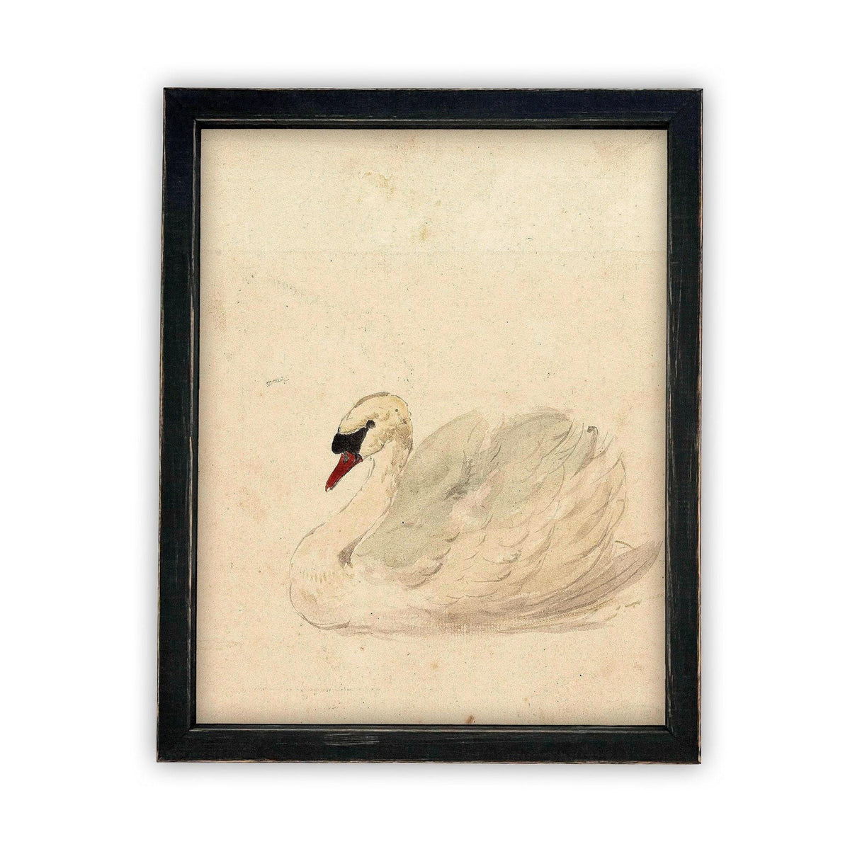 Vintage Framed Canvas White Swan Art #A-101