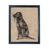 A black and white illustration of a dog sitting on the ground, wearing a collar and leash.