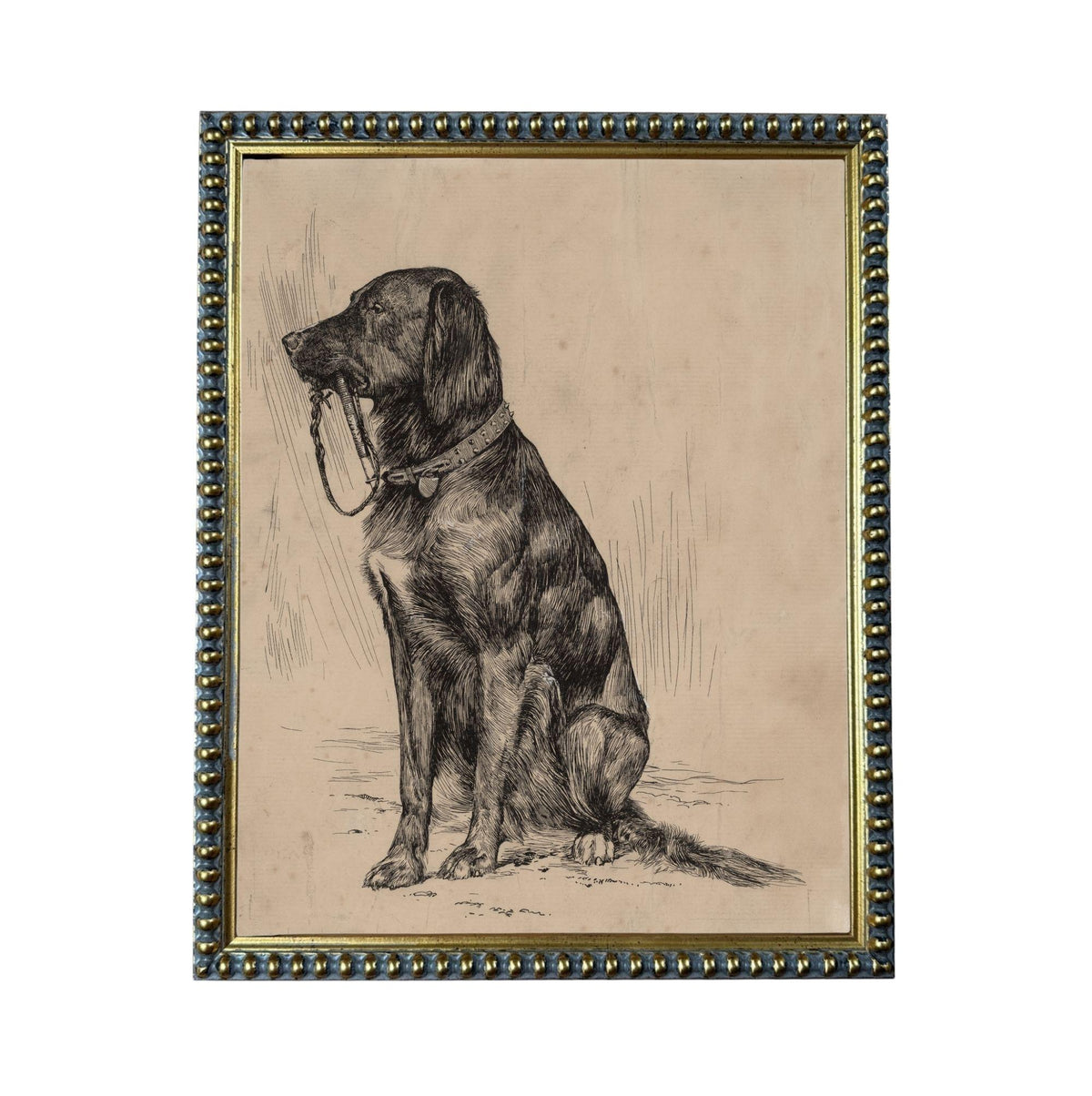 A black and white illustration of a dog sitting on the ground, wearing a collar and leash.