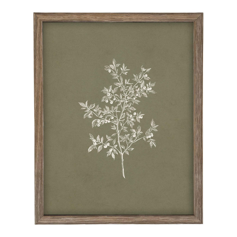 Framed Vintage Botanical Print on Canvas #ST-170