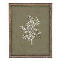 Framed Vintage Botanical Print on Canvas #ST-170