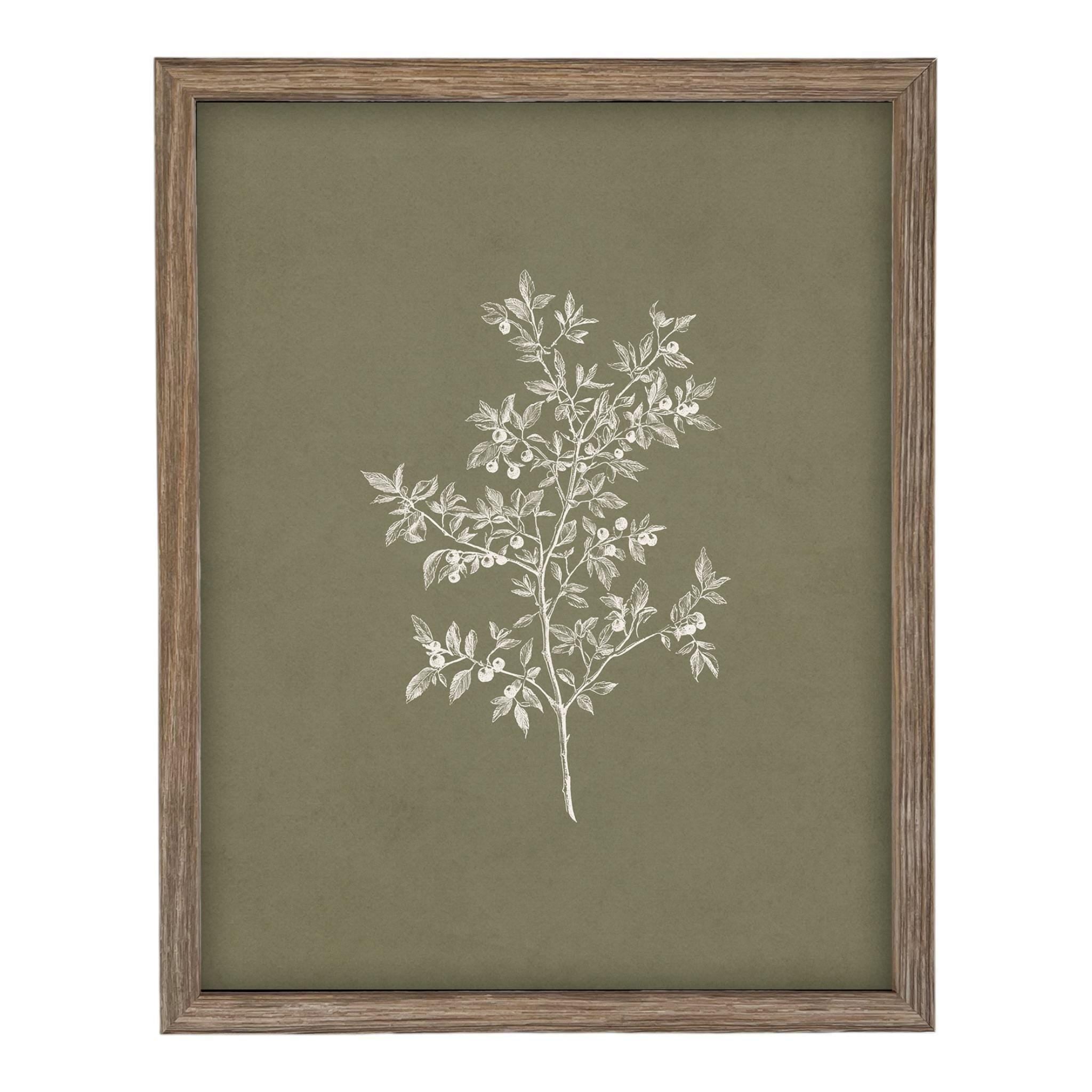 Framed Vintage Botanical Print on Canvas #ST-170