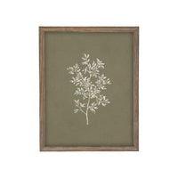 Framed Vintage Botanical Print on Canvas #ST-169