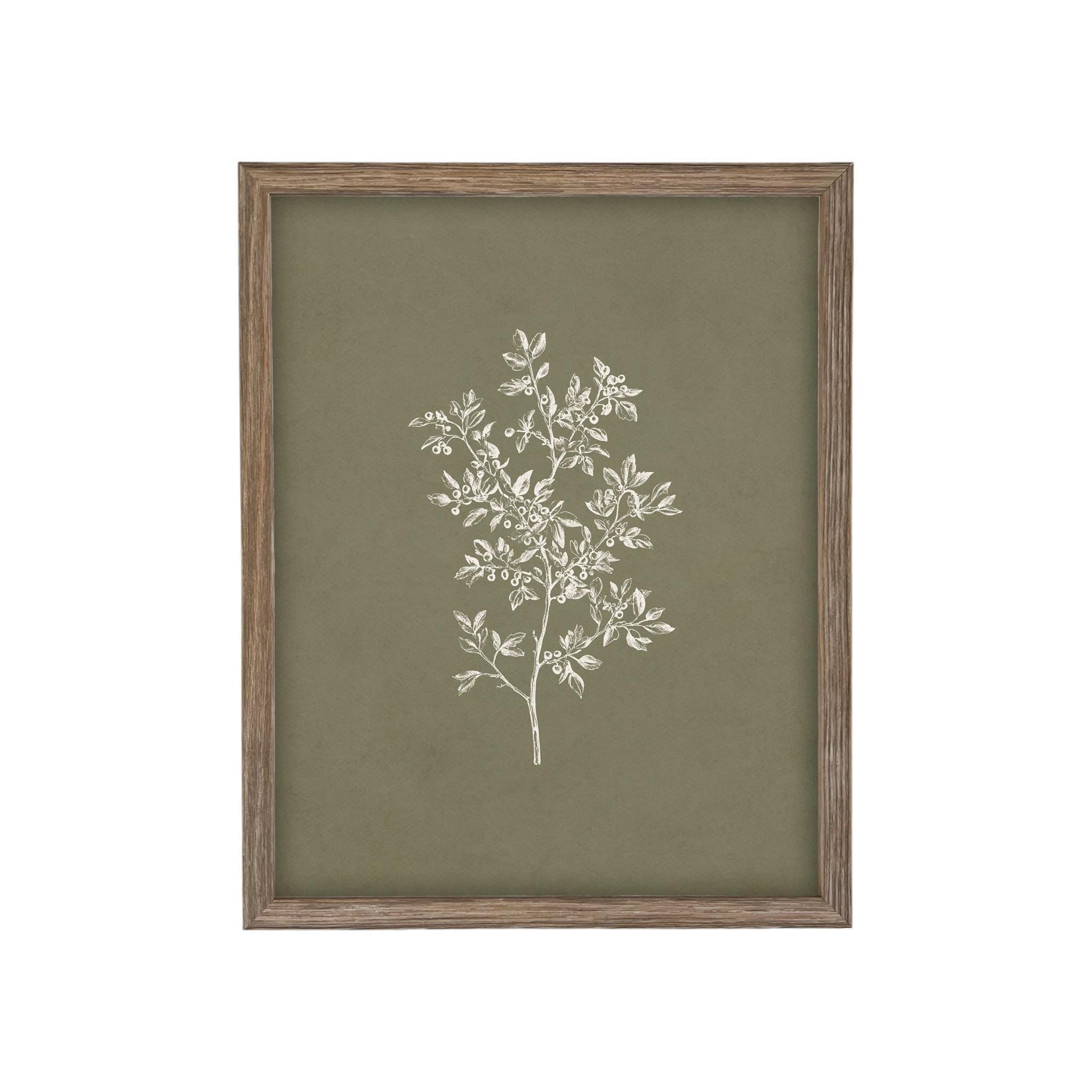 Framed Vintage Botanical Print on Canvas #ST-169