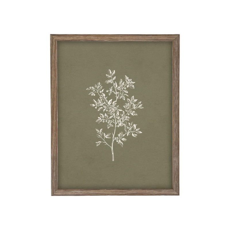 Framed Vintage Botanical Print on Canvas #ST-169