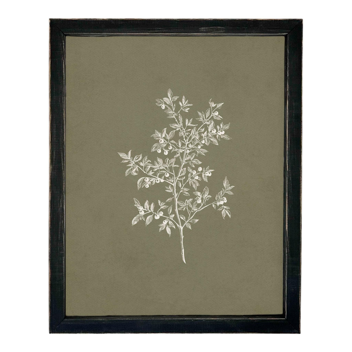 Framed Vintage Botanical Print on Canvas #ST-170